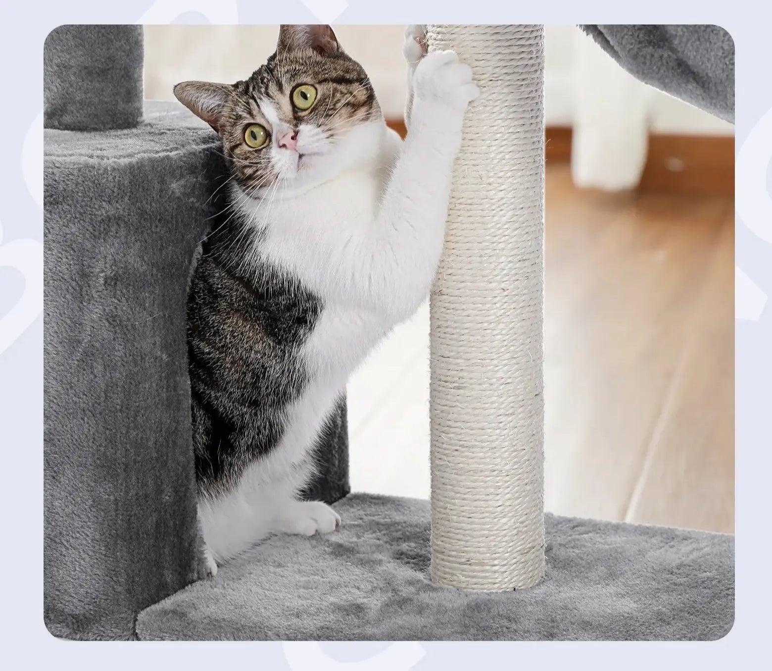 Cat Scratching Tower