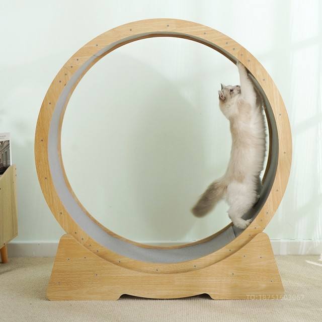 Cat Exercise Wheel