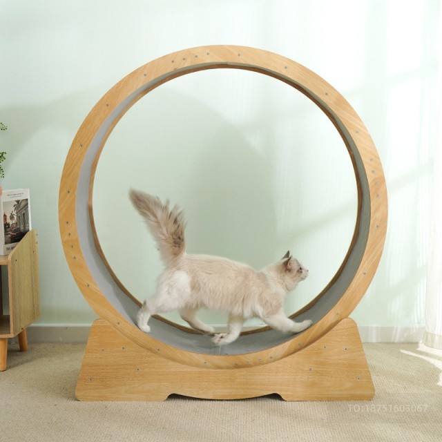 Cat Exercise Wheel