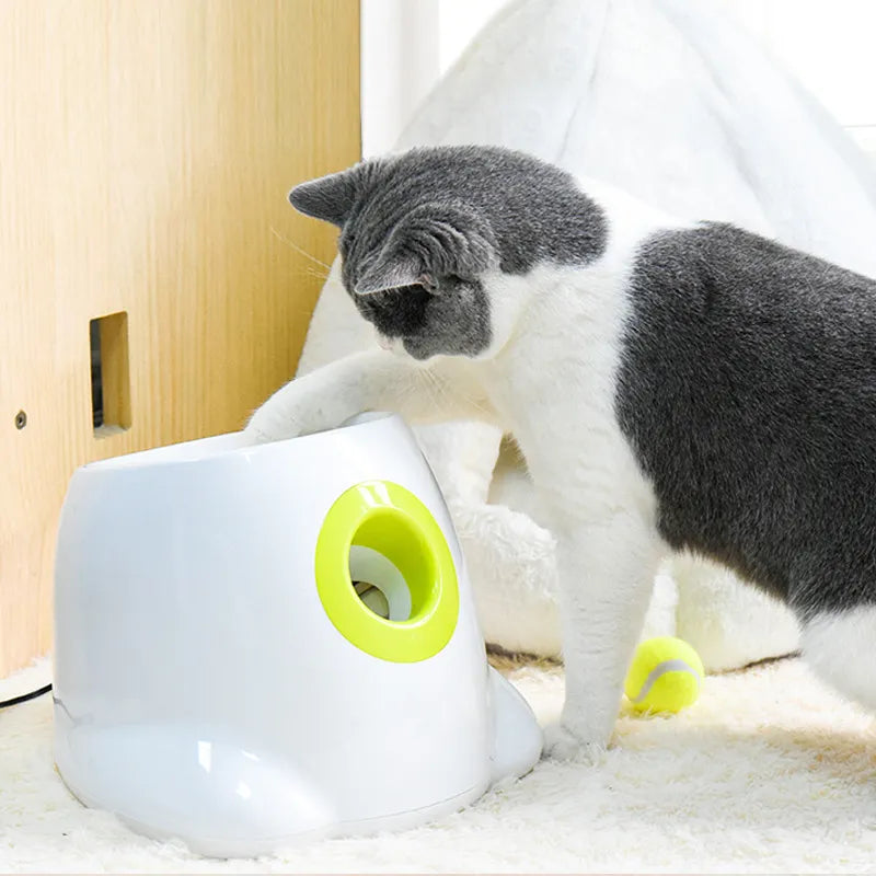 Automatic Pet Ball Launcher